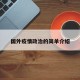 国外疫情政治的简单介绍