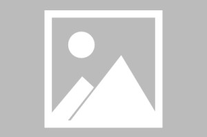 【印度掩盖疫情,印度防疫失控】